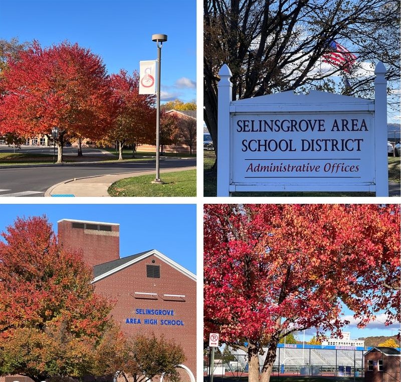 Stunning Autumn Colors Paint The Seals School Campus in Brilliant Fall Hues!